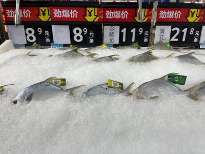 冷鏈產(chǎn)品還能買嗎？記者實(shí)探 有菜場(chǎng)停售進(jìn)口海鮮，部分商超啟用水產(chǎn)品“身份證”